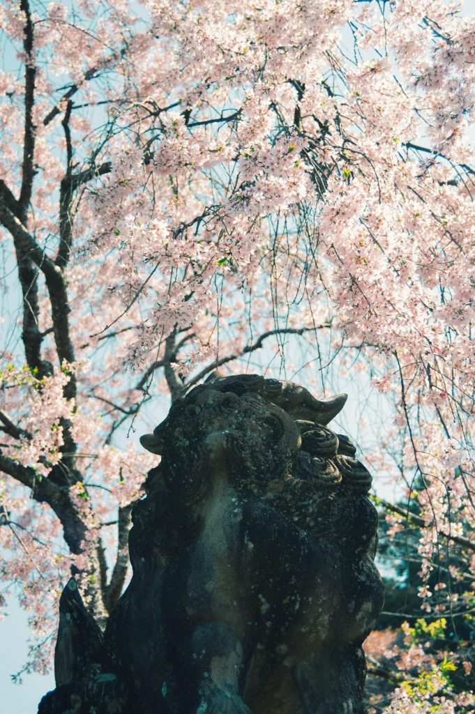 kyoto temple