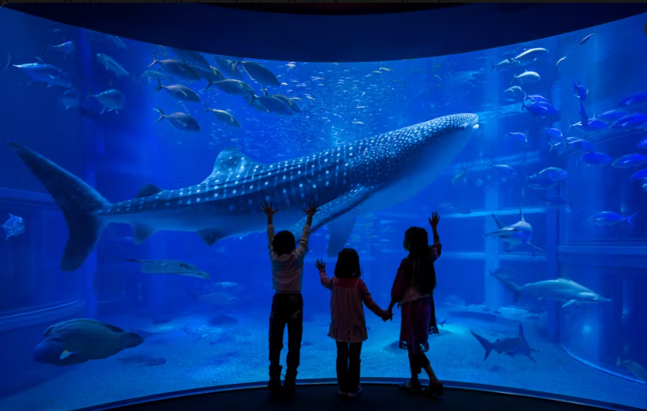 osaka aquarium