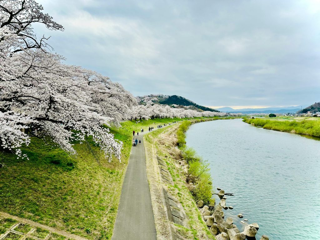 okinawa japan 