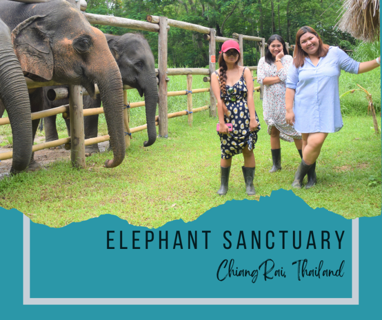 Chiang Rai Thailand: Elephant Sanctuary