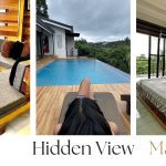 the hidden view mansion blog cover